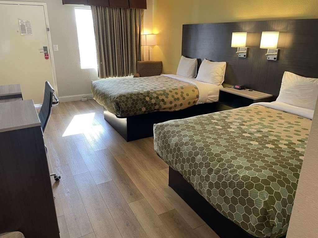 Econo Lodge White Pine Morristown I-81 & I-40 Split Oda fotoğraf